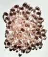 100 5x10mm Transparent Rose Drop Beads